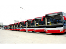 茂名市交通运输局电白分局公交线路经营权项目  茂名市交通运输局电白分局公交线路经营权项目